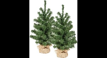 Everlands Everlands Mini kerstboompjes - 2x st - groen - 45 cm - in jute zak - kunstboom