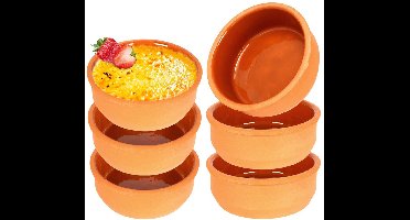 Ovenschaal Steengoed 200 ml 6 stuks - Ovenschotel - Braadslede - Braadpan