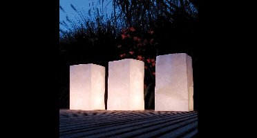 Haza Original Lampionnen Wit 5 Stuks 16,5 Cm