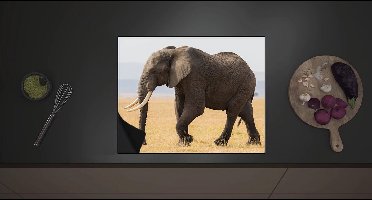 Inductie Beschermer - Afrikaanse Olifant - 60x52 cm - 2 mm Dik - Inductieplaat Beschermer met zwarte kern