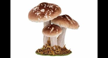Paddenstoelen Bruin 12x8,5xh12cm Fluweel