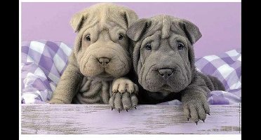 Educa 18063 puzzel 100 stuk(s)