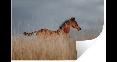 Muurstickers - Sticker Folie - Paard - Lucht - Gras - 30x20 cm - Plakfolie - Muurstickers Kinderkamer - Zelfklevend Behang - Zelfklevend behangpapier - Stickerfolie