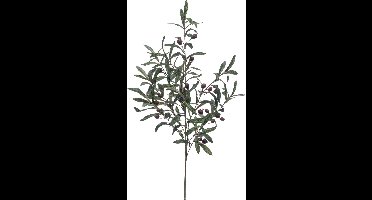 Emerald - Kunsttak Olijf XL 100cm - Kunstplant voor binnen