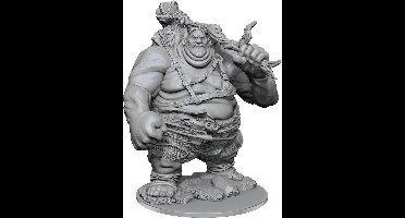 WizKids - Dungeons and Dragons Marvelous Nolzur Miniatures - Hill Giant