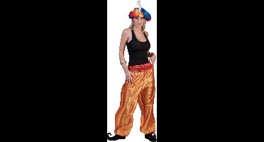 1001 Nacht & Arabisch & Midden-Oosten Kostuum | Gouden Oosterse Broek Vrouw | One Size | Carnaval kostuum | Verkleedkleding