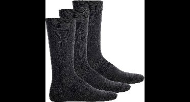 Boss 3p Rs Uni Cc Sokken Heren - Grijs - Maat 39-42