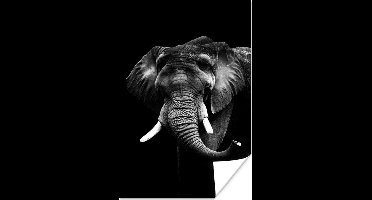Poster Olifant tegen zwarte achtergrond - zwart wit - 20x30 cm