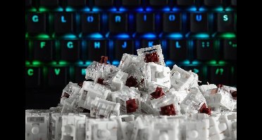 Glorious PC Gaming Race Kailh Speed Switches - Copper Switches - 120 stuks