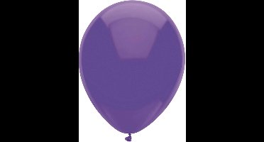 Ballonnen Paars : 10 Stuks