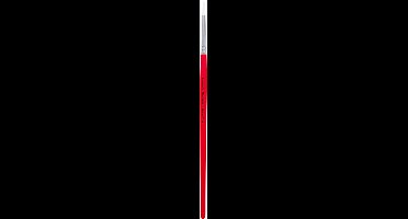 Leanne Courtney Schminkpenseel Rond 4