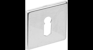 Intersteel Rozet vierkant met sleutelgat rvs gepolijst