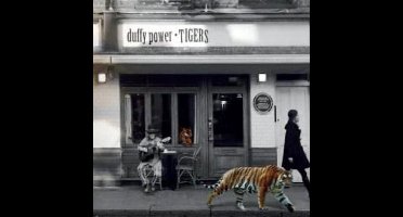 Tigers