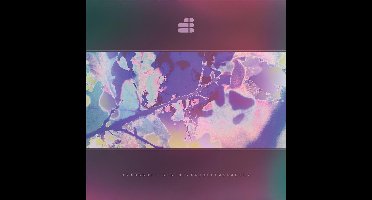 Fragmented Consciousness