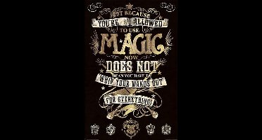 Harry Potter Magie - Maxi Poster