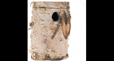 Duvo+ Berkenblok exoten 11x17x2,8cm