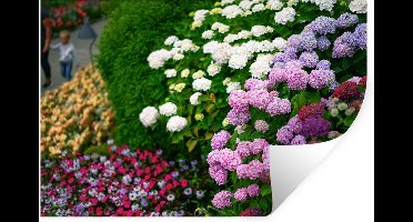Muurstickers - Sticker Folie - Levendige hortensia bloemen - 30x20 cm - Plakfolie - Muurstickers Kinderkamer - Zelfklevend Behang - Zelfklevend behangpapier - Stickerfolie