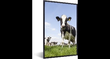 PosterMonkey - Fotolijst - Poster - Koe - Dieren - Natuur - Gras - Landschap - Poster met kader - 80x120 cm - Frame - Poster natuur - Foto lijst - Poster koe