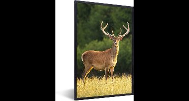PosterMonkey - Fotolijst - Hert - Natuur - Weide - Bos - Natuur - Poster - 40x60 cm - Frame - Kader - Poster kader - Foto lijst - Poster natuur - Poster hert