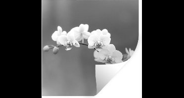 Muurstickers - Sticker Folie - Orchidee - Bloemen - Plant - Wit - Paars - 30x30 cm - Plakfolie - Muurstickers Kinderkamer - Zelfklevend Behang - Zelfklevend behangpapier - Stickerfolie