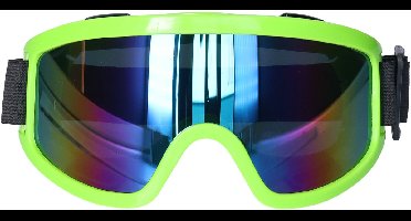 Carnaval/verkleed Apres Ski bril - groen - volwassenen - kunststof - party brillen