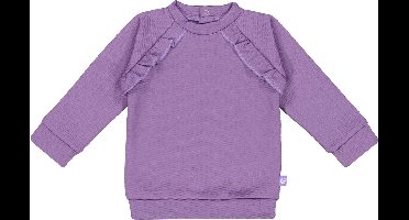 4President-Meisjes Sweater Bibi-Paarse nevel
