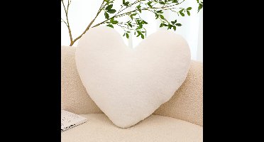 Boraboi ® Superzacht Hartvormig Knuffelkussen voor Kinderkamer en Decoratie, Luxe Sierkussen, Wit, 40 cm