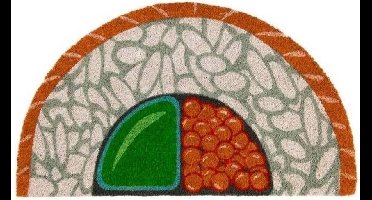 Fisura Deurmat Sushi 40 X 70 Cm Kokosvezel/pvc Beige/oranje