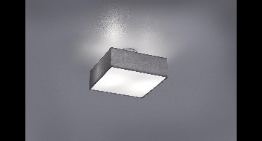 Trio Leuchten Embassy - Plafondlamp - 2 lichts - L 300 mm - grijs