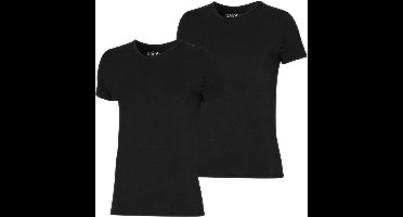 Apollo Bamboo - 2 pack - T-Shirt Heren -  V Hals - Maat XL