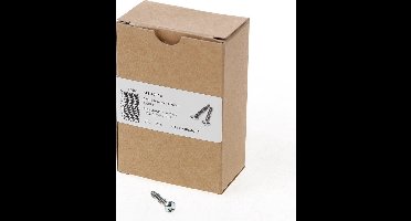 Dulimex AIS 4025B Anti-inbraakschroef 4.0 x 25mm staal verzinkt 0112.400.4025