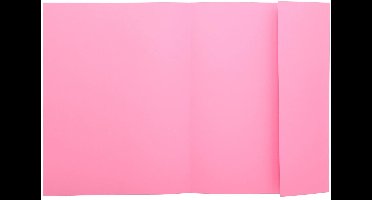 Exacompta 5x SUPER 160 Pak van 100 mappen met 1 klep - 24x32cm - - Roze - 348003E