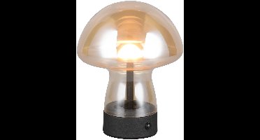 REALITY DOOLEY - Tafellamp - Amber - incl. 1x SMD 1,5 W - 4-stappen TOUCH - USB-aansluiting - Oplaadbaar - Snoerloos