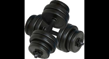 vidaXL - Halters - 2x15 - kg