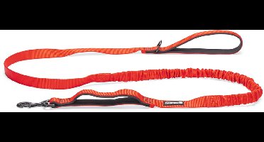 Beeztees Parinca Premium Elastische Looplijn - Hondenriem - Nylon - Rood - 180 cm x 25 mm