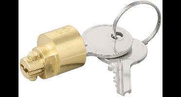 ProPlus Steekslot voor ALBE EM60-80-130-180 – Messing Koppelingsslot