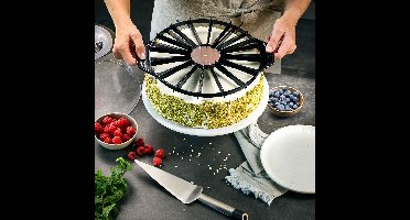 Taart Verdeler, Taartsnijder, 14 tot 16 Taartpunten, Kunststof, RVS, 26.4 cm - GEFU | DIVIDO