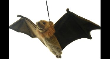 Pluche Vleerhond, 67 cm, Hansa