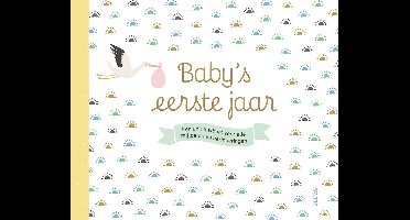 PaperStore - Baby's eerste jaar - Babyalbum - Invulboek