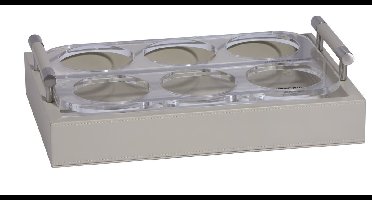 Marine Business Waves kunstleren beige Glazenhouder maat L