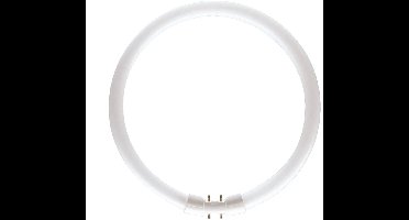 Traditionele ronde TL5 TL-buis 2GX13 60W/830 | 38cm | 2GX13 (4 pins) | Warm Wit | 60 watt | 12.000 Branduren