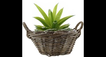 Van der Leeden Mand met hengsels - bruin - D43 x H18 cm - rotan - gevlochten riet - mand - opbergen - opbergmand - bloemen/planten