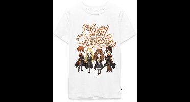 Harry Potter Geanimeerde Personages Stand Together Premium T-Shirt Tiener