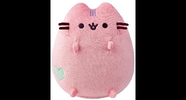 Pusheen, Knuffel Mascotte 18cm met Geborduurd Hart Ultrazacht, Roze