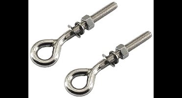 Oogbout M16 RVS Met Moer En Wasmachines - 2 Stuks