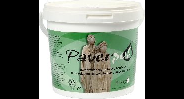 Paverpol Sculptuur Medium, 5000 gr - 1 Emmer