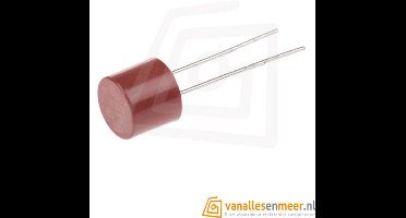 PCB Zekering T500mA 250V – Snelwerkende Beveiligingszekering – Type 382