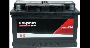 Dolphin PRO scheepsaccu - 60Ah 12V