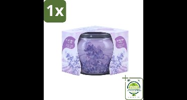 1 x At Home - Scents - Geurkaars - Lavender - 70 g - Lavendel Geur - Geurkaars - Natuurlijke Kaars - Sojawas Kaars - Vegan Kaars