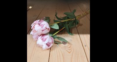 Kunstbloem Paeony Marlie Bundle Roze - 48 cm